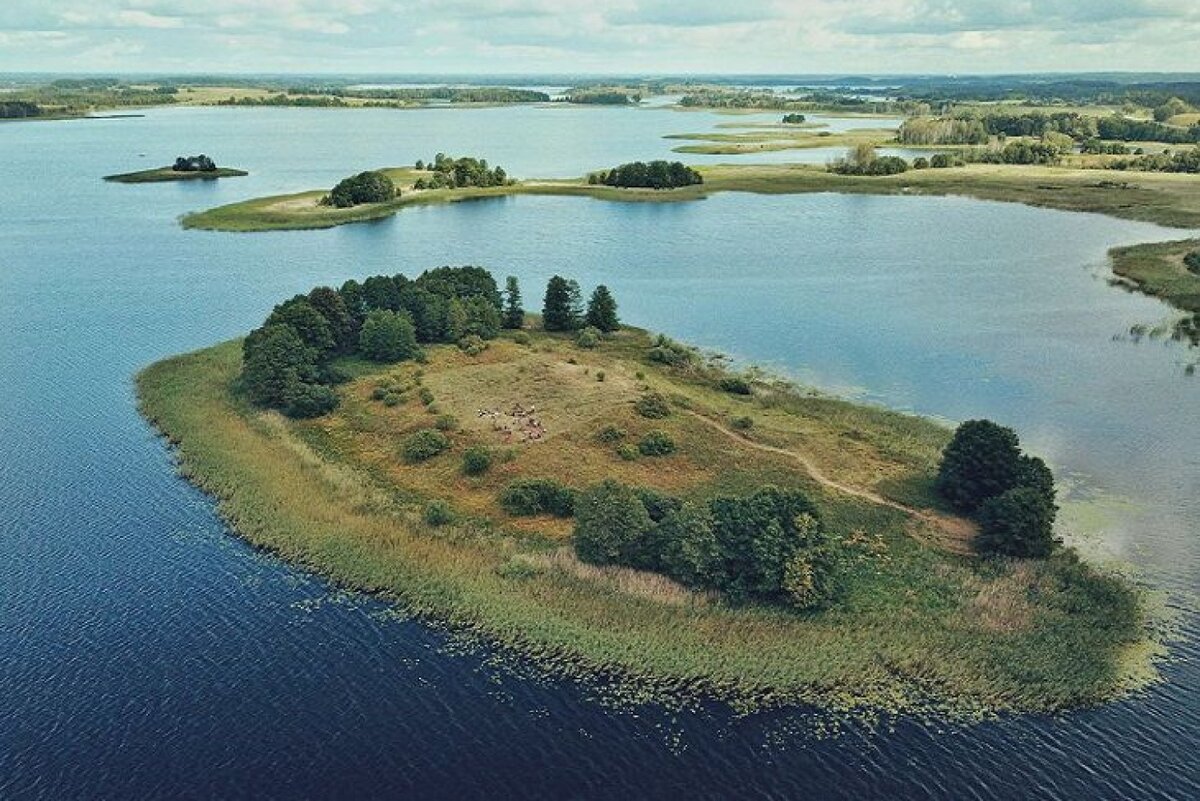 Браславский край